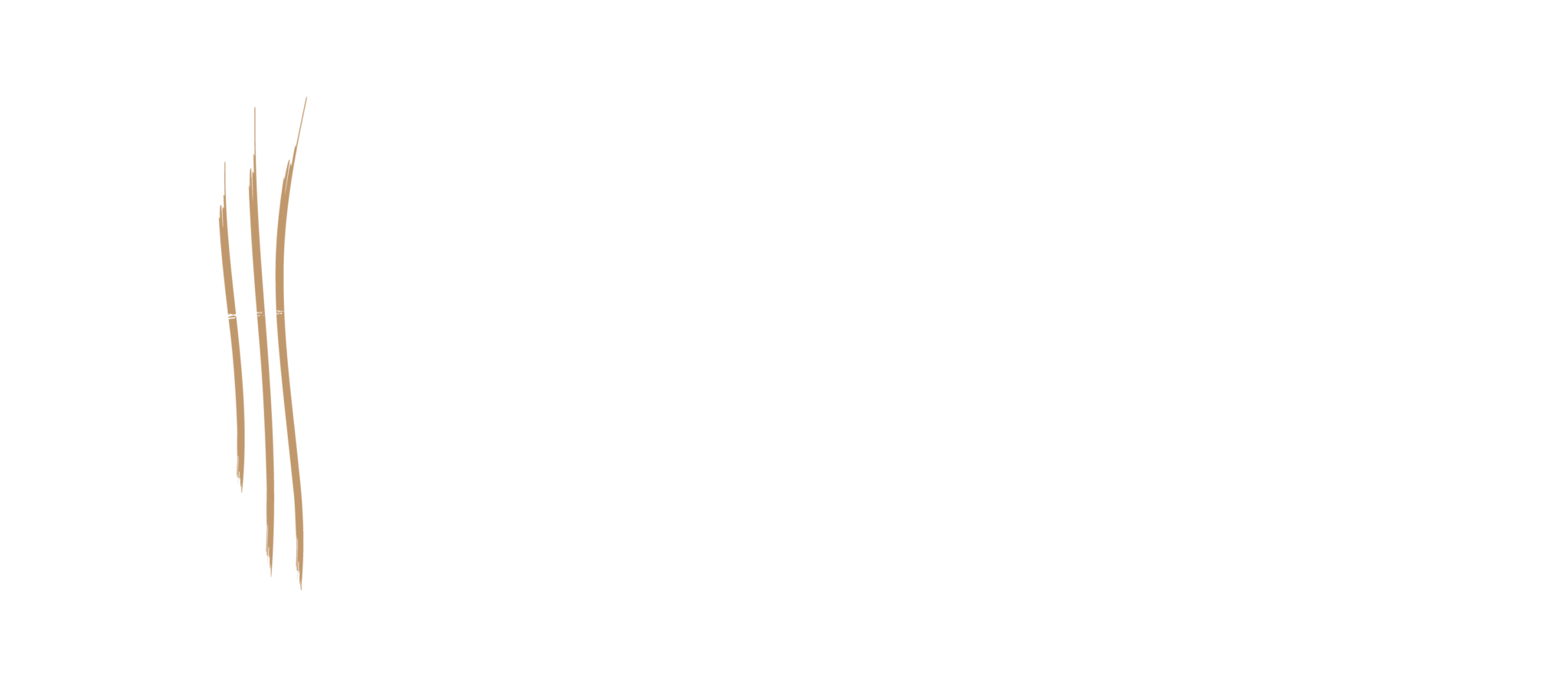 Pinnea Residencial